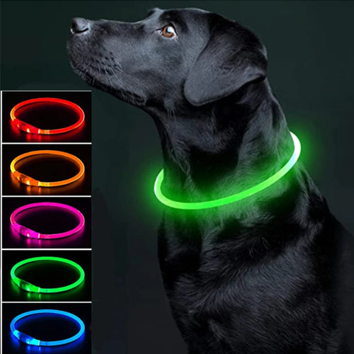 Led Luminous Dog Collar Light USB Charging Necklace, Flashing DIY