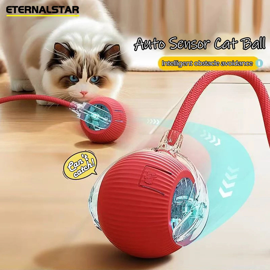 New Rechargeable Smart Interactive Ball for Pet, Motorized Toy, Dog