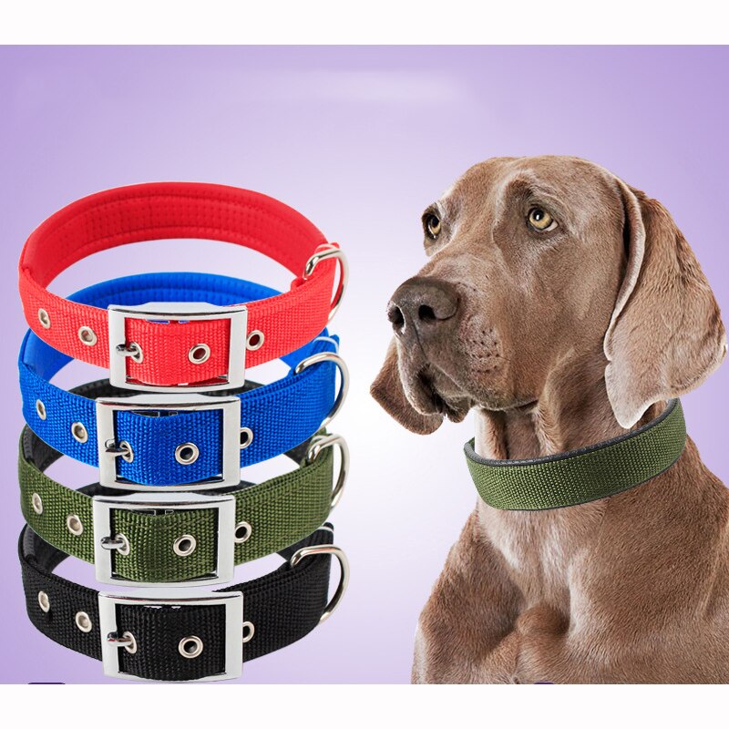 Nylon Pitbull Dog Collar | Large Dog Harness Collar | Dog Harness