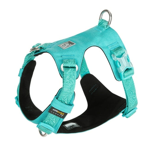 Truelove Dog Light Weight Harness Adjustable Outdoor Pet Medium Small