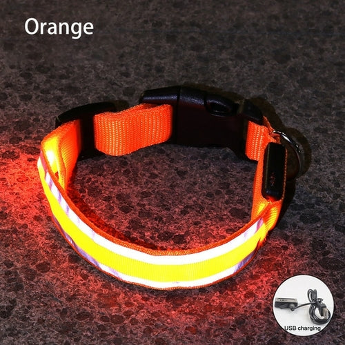 Usb Rechargeable Dog Collar Light Luminous Flashing Glowing Bright