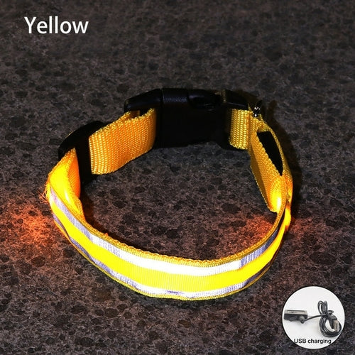 Usb Rechargeable Dog Collar Light Luminous Flashing Glowing Bright