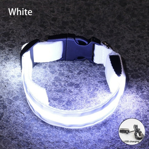 Usb Rechargeable Dog Collar Light Luminous Flashing Glowing Bright