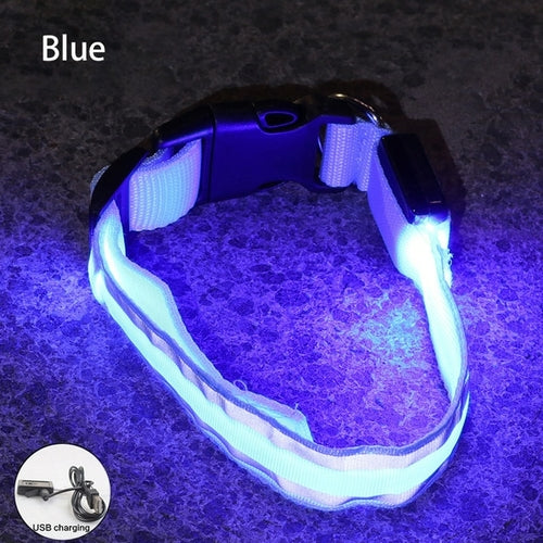 Usb Rechargeable Dog Collar Light Luminous Flashing Glowing Bright