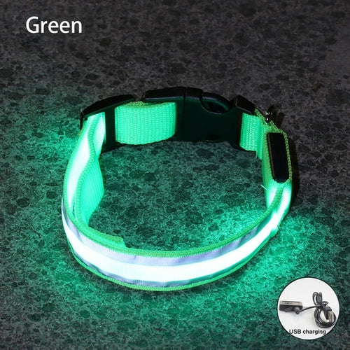 Usb Rechargeable Dog Collar Light Luminous Flashing Glowing Bright