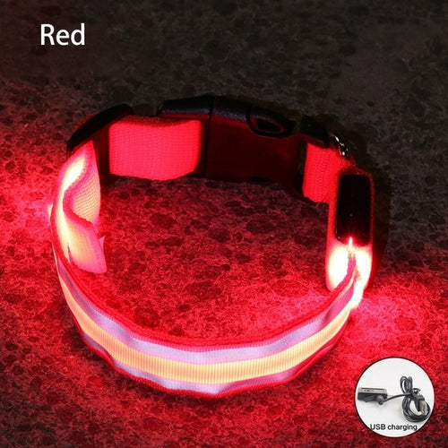 Usb Rechargeable Dog Collar Light Luminous Flashing Glowing Bright