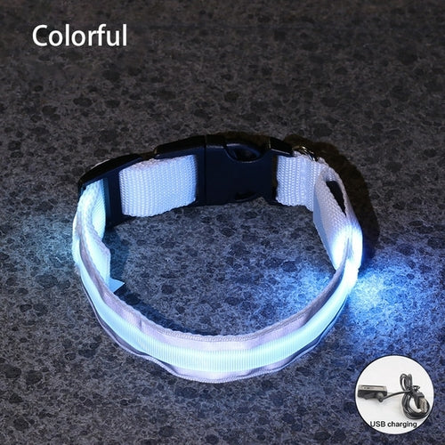 Usb Rechargeable Dog Collar Light Luminous Flashing Glowing Bright