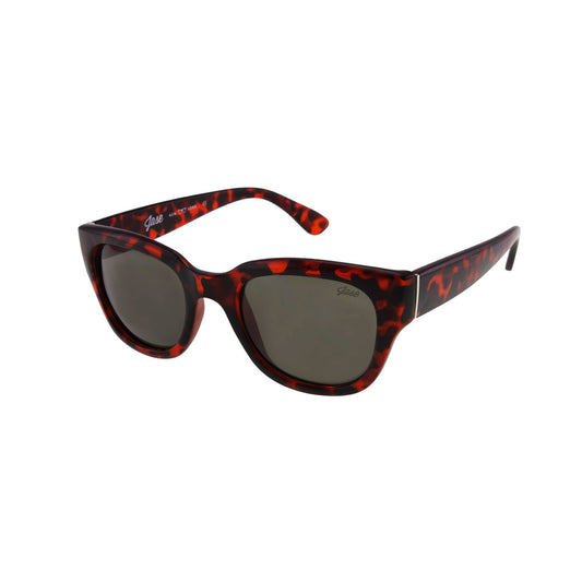 Jase New York Delano Sunglasses in Havana